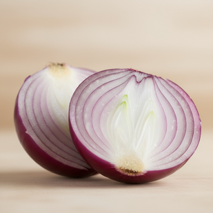 ONION BULB FERMENT